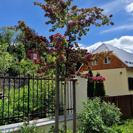Siglisberg Villa Banska Stiavnica Luaran gambar