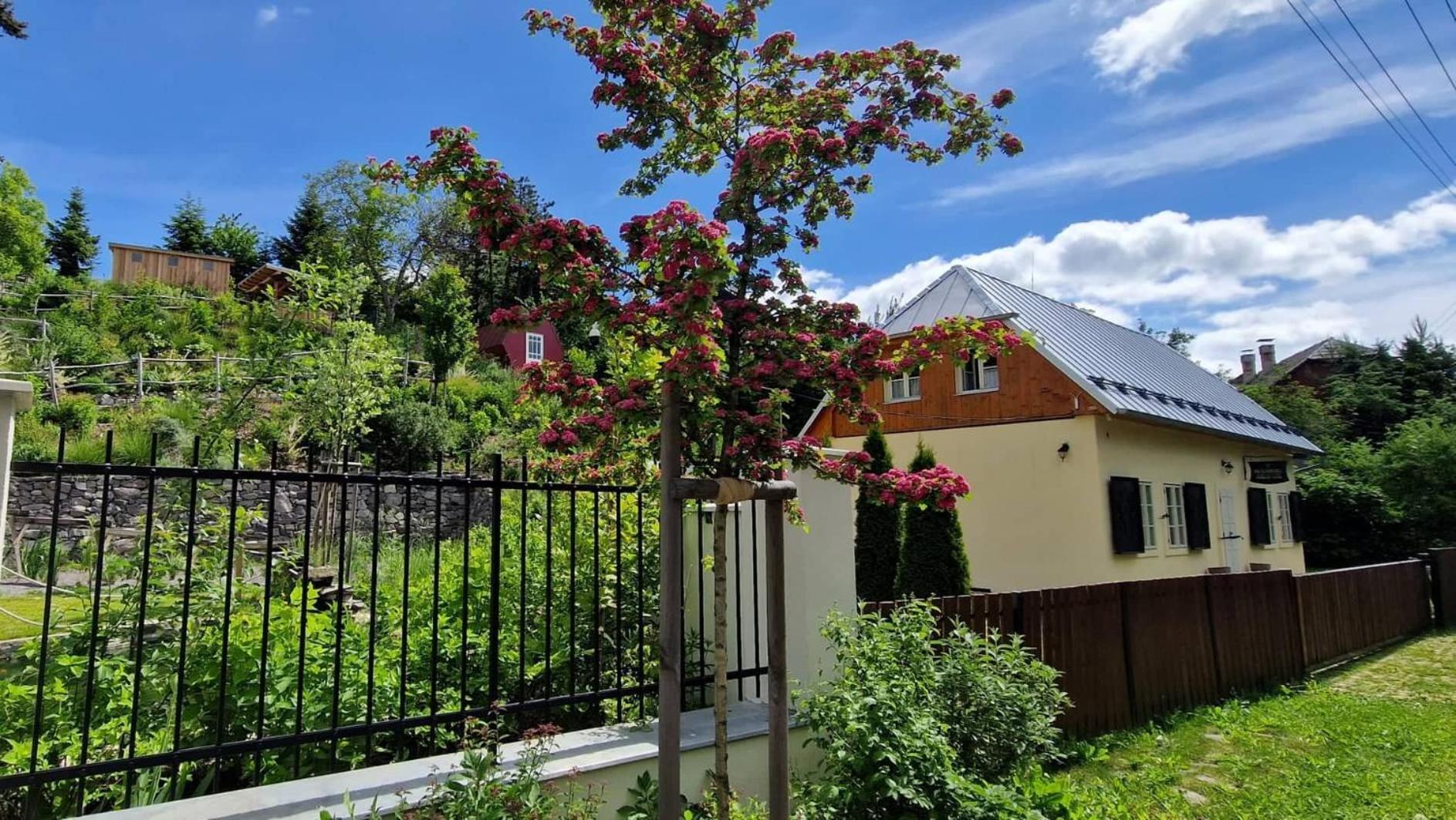Siglisberg Villa Banska Stiavnica Luaran gambar